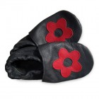 Blume rot